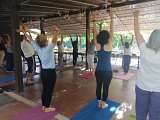 Yoga en Luberon