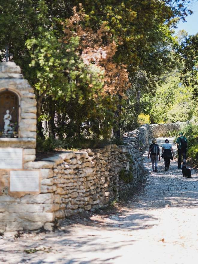 Eine Woche voller Sport und Natur in den Vaucluse-Bergen