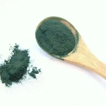 Spirulina des Brunnens