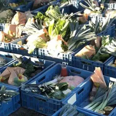 Die Obstgärten von Bonpas