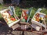 caisse légumes