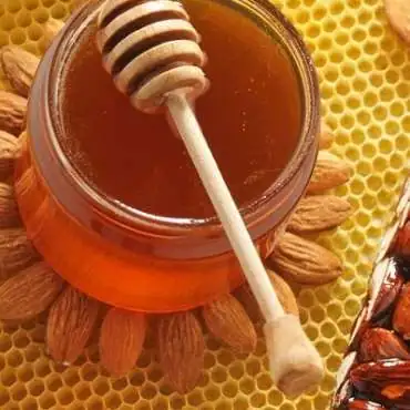 Silvain - Bauern Nougatiers