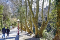 amoureux fontaine de vaucluse