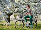 Sun E Bike