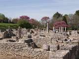 Site_Archéologique_de_Glanum