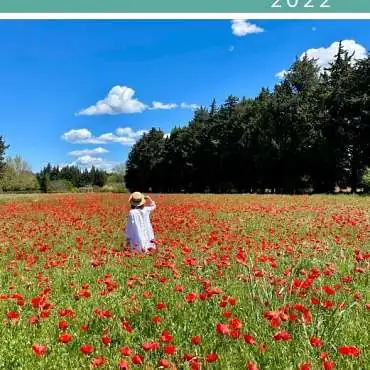 Partnerleitfaden 2021