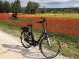 Sun e Bike en Provence 