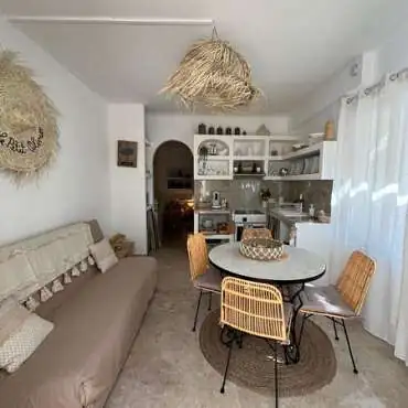 Der kleine Olivenbaum