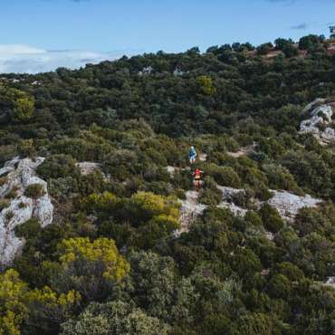 Trail des Monts de Vaucluse - DE