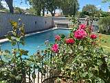 A l'ombre des oliviers_L'Isle-sur-la-Sorgue